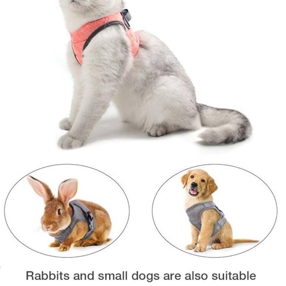 Cat harness and leash also for rabbit - Picture 3 of 15